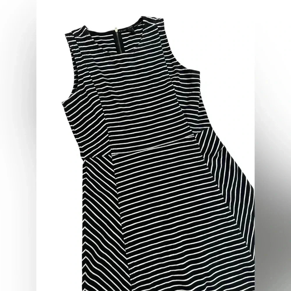 J. Crew Womens Fit Flare Dress Striped Back Zip Cotton Black White Size 8 EUC - Picture 2 of 6